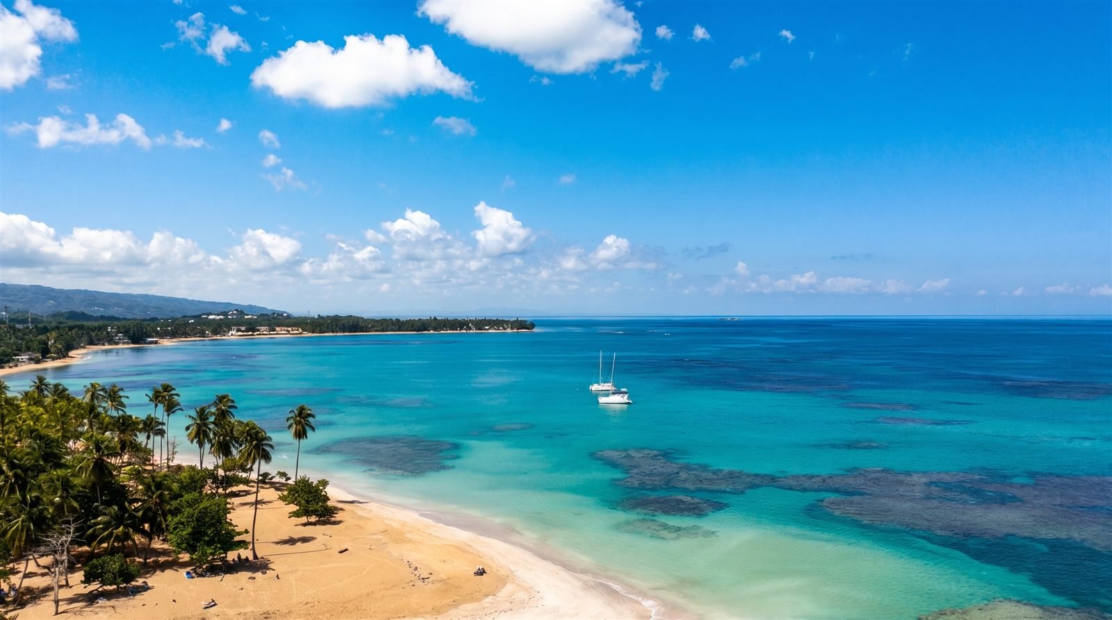 Vista panorámica de Playa Punta Popy y el litoral de Las Terrenas